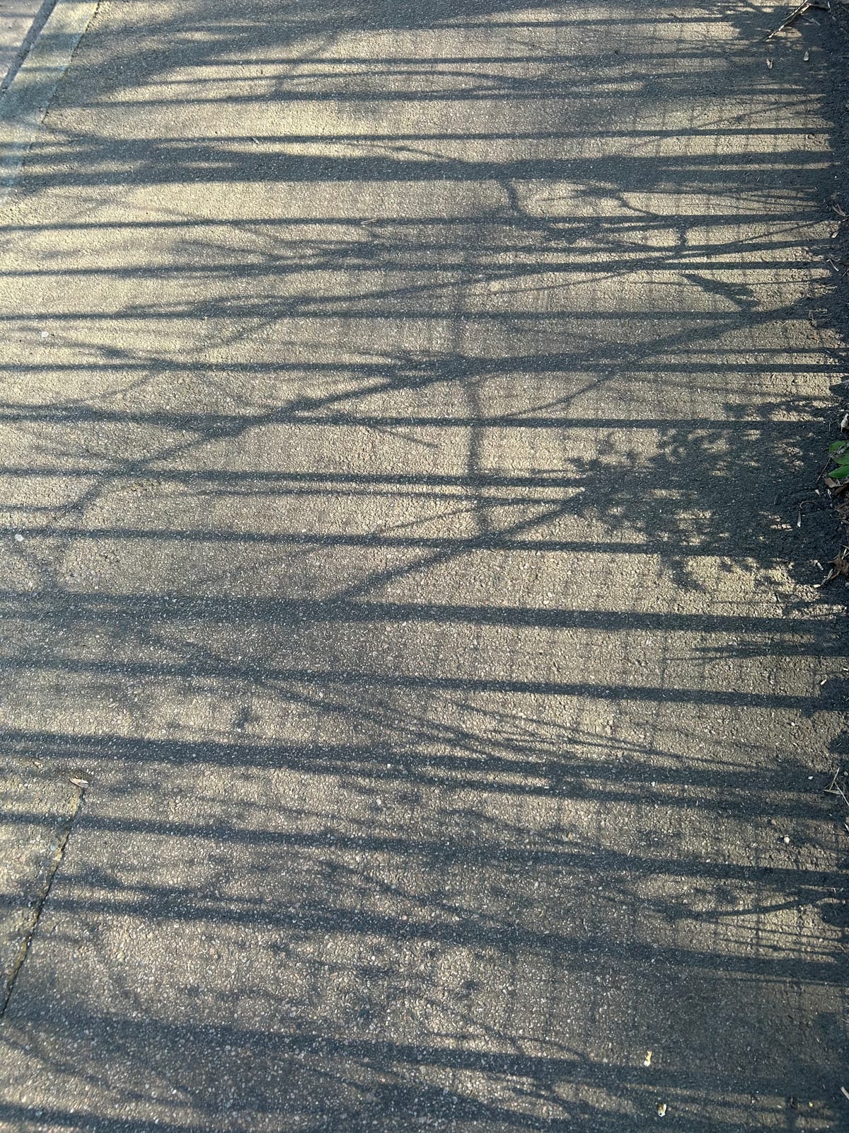 Shadows 2