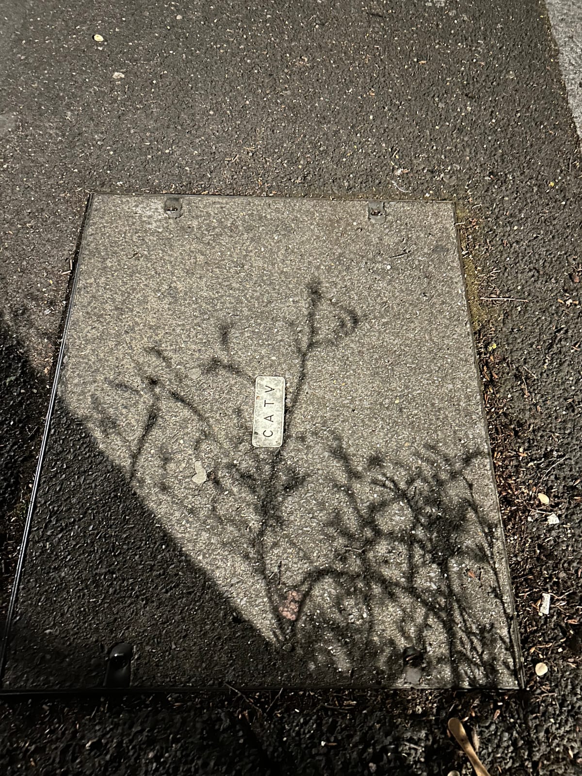 Shadows 8