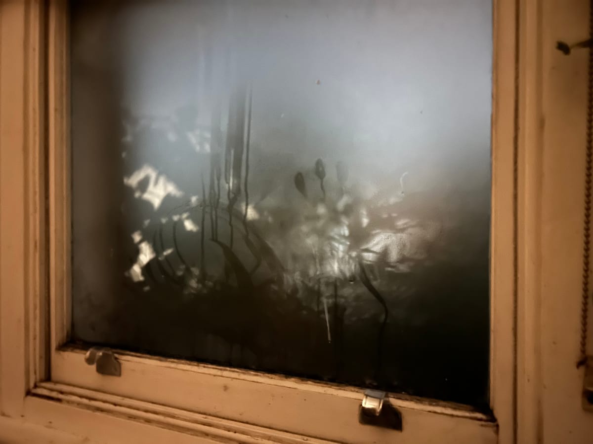 Shadows 9