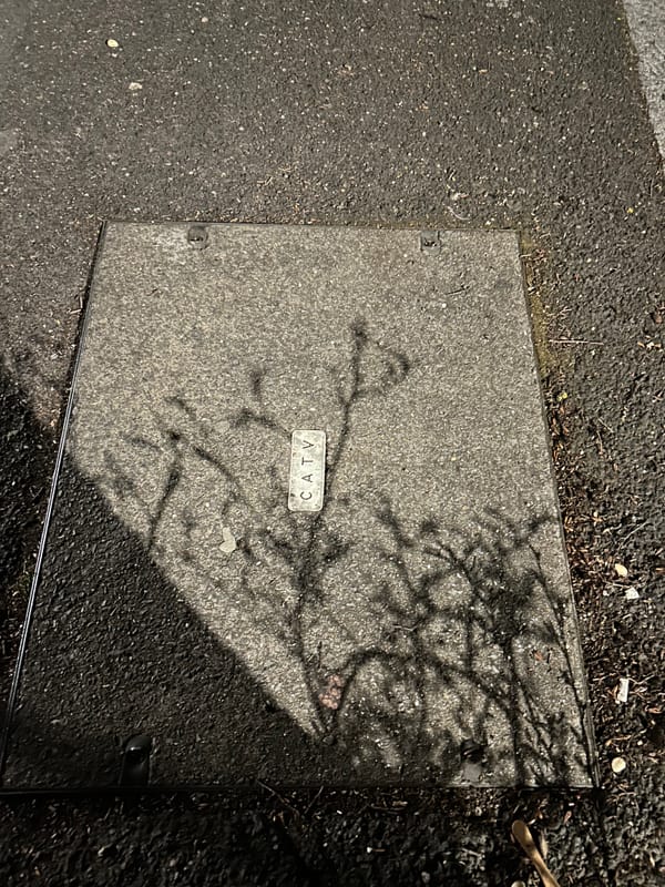 Shadows 8